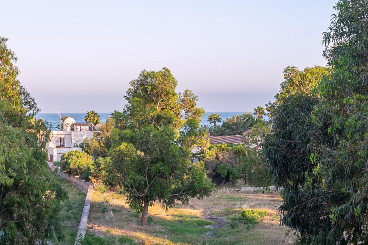 산 호세 La Casa Del Alamo 빌라 외부 사진